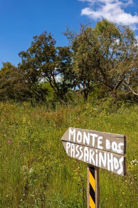 הוילה Grândola Monte Dos Passarinhos מראה חיצוני תמונה