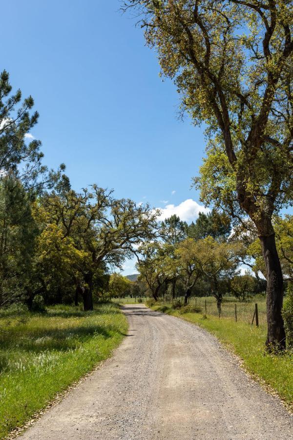 הוילה Grândola Monte Dos Passarinhos מראה חיצוני תמונה