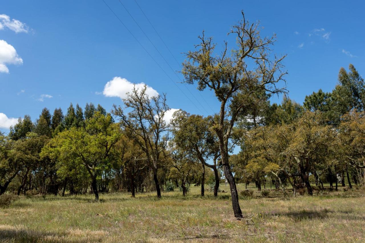 הוילה Grândola Monte Dos Passarinhos מראה חיצוני תמונה