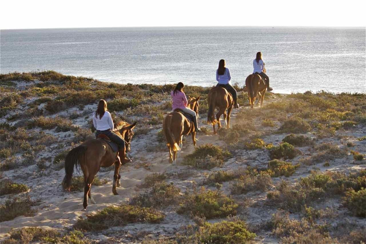 הוילה Grândola Monte Dos Passarinhos מראה חיצוני תמונה